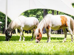 Glamping Resort Feriendorf