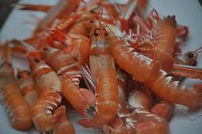 Hotel Restaurante Asador de Roxos Casa de Albardonedo