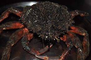 Hotel Restaurante Asador de Roxos Casa de Albardonedo