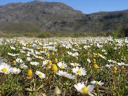 Alexander Mountain Resort