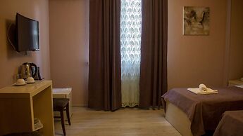 Hotel New Metekhi