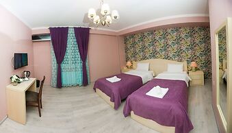 Hotel New Metekhi