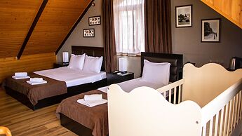 Hotel New Metekhi