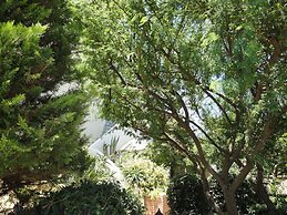 Nancy - Chara Apartments