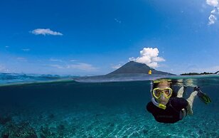 Daltons Banana Guesthouse