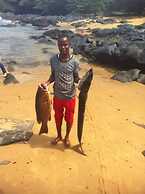 Daltons Banana Guesthouse