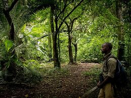 Daltons Banana Guesthouse