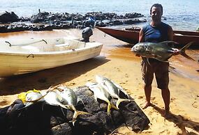 Daltons Banana Guesthouse