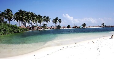 Daltons Banana Guesthouse