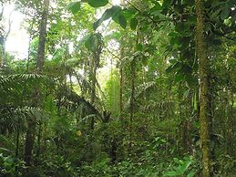 Daltons Banana Guesthouse