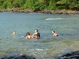 Daltons Banana Guesthouse