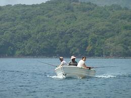 Daltons Banana Guesthouse