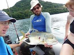 Daltons Banana Guesthouse