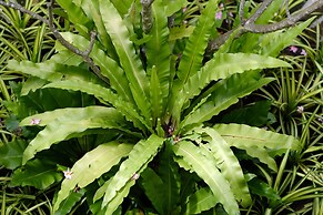 Baan Imm Sook Resort