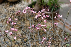 Baan Imm Sook Resort