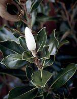 28 Degrees Byron Bay - Adults Only