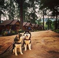 Eco Lanta Hideaway Beach Resort