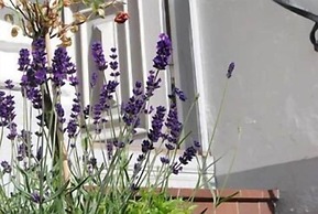 Hotell Villa Rönne