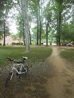 Pedro's House - Hostel