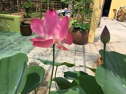 Tropical Garden Phu Quoc