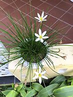 Tropical Garden Phu Quoc