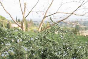 B&B Cantico delle Creature