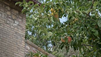 B&B Cantico delle Creature