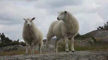 Brännö Värdshus & Pensionat Baggen