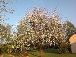 Domaine les Marronniers