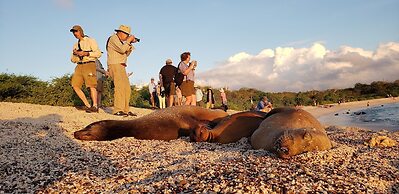 Galapagos Eco Friendly