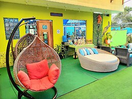 Galapagos Eco Friendly