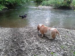 Mortimer Trail B & B