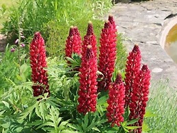 Mortimer Trail B & B