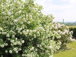 Mortimer Trail B & B