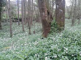 Mortimer Trail B & B