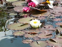 Mortimer Trail B & B