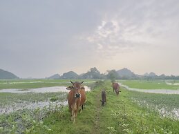 Ninh Binh Family Homestay