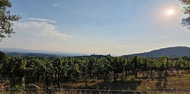 Podere Pievina Delle Corti