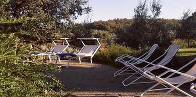 Podere Pievina Delle Corti