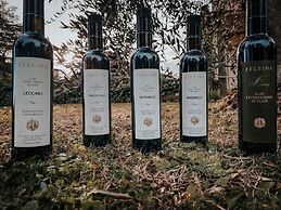 Podere Pievina Delle Corti