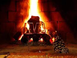 Podere Pievina Delle Corti