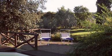 Podere Pievina Delle Corti