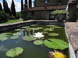 Podere Pievina Delle Corti