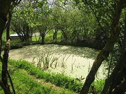 Podere Pievina Delle Corti