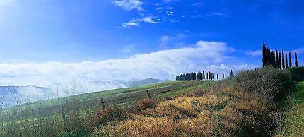 Podere Pievina Delle Corti