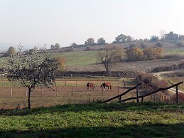 Podere Pievina Delle Corti