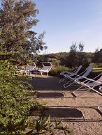 Podere Pievina Delle Corti