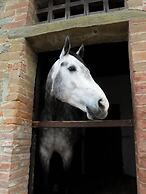 Podere Pievina Delle Corti