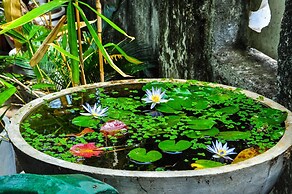 Rock Cascade Homestay