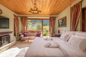 ViP Chalet 4 seasons